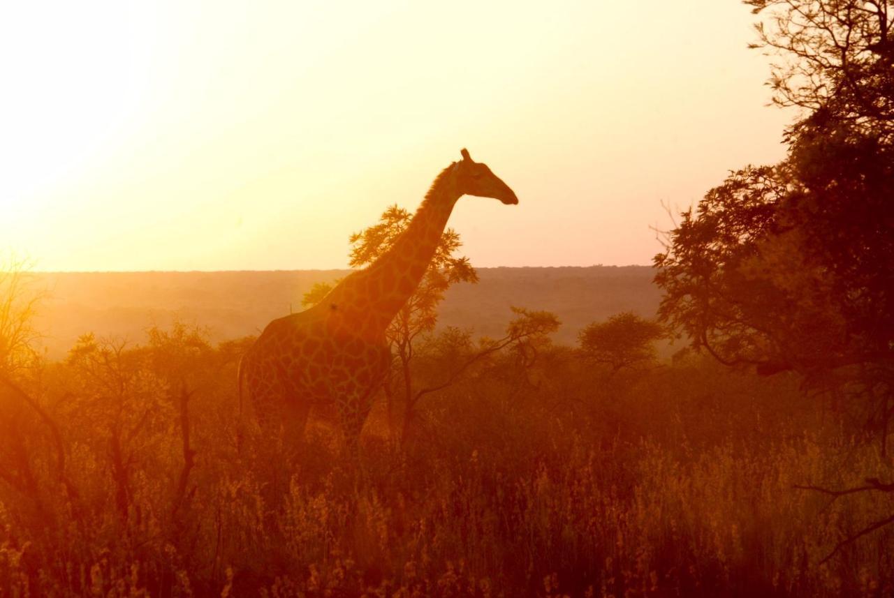 Kgorogoro Lodge 兰斯堡 外观 照片
